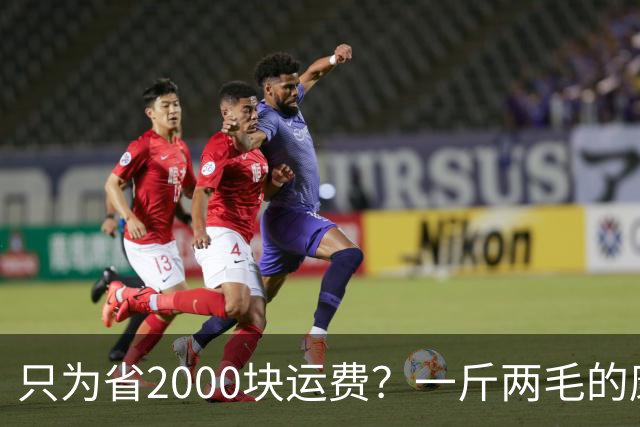 只为省2000块运费？一斤两毛的康保白菜，毁在一桶甲醛上